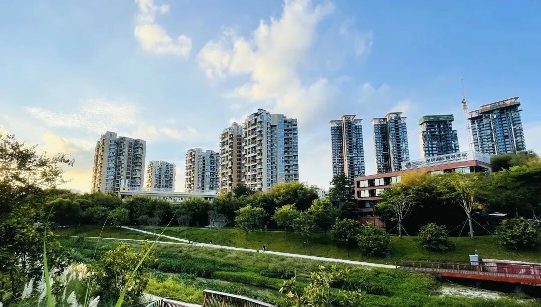 深圳IPC国际校区校园绿地