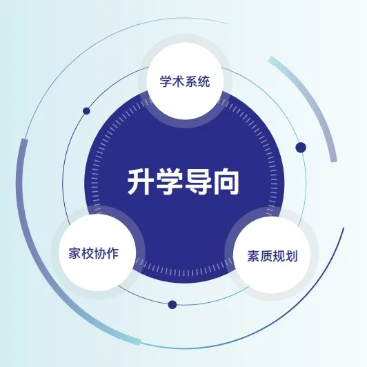 升学安排中的学术系统、家校协作与素质规划示意
