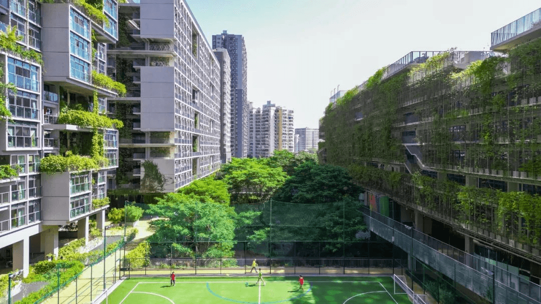 深圳国际交流书院校园与运动场