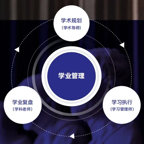 学术规划、学习执行与学业复盘的分工示意