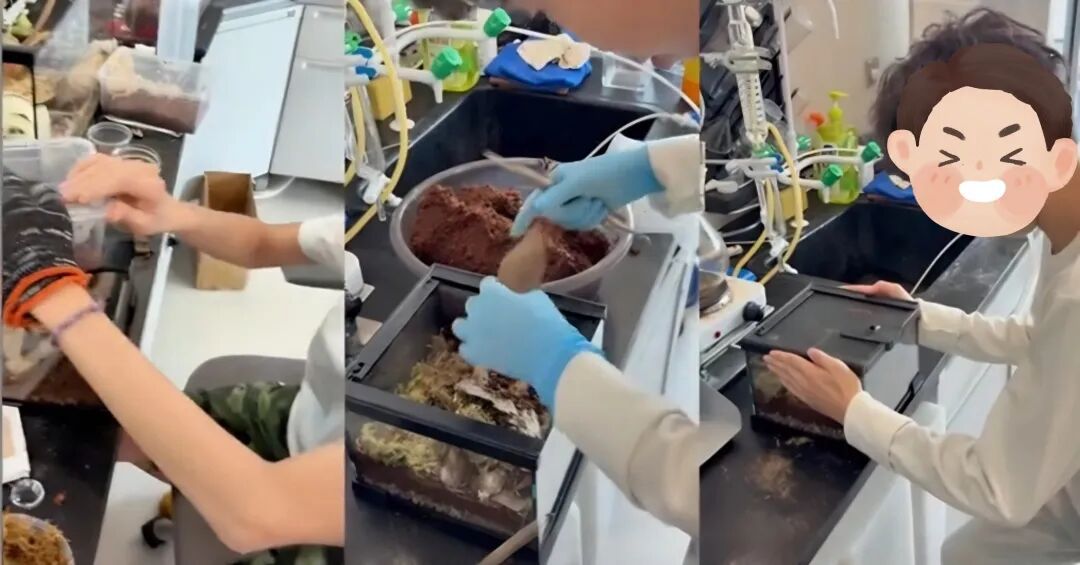 学生在实验操作中使用器材并观察材料变化
