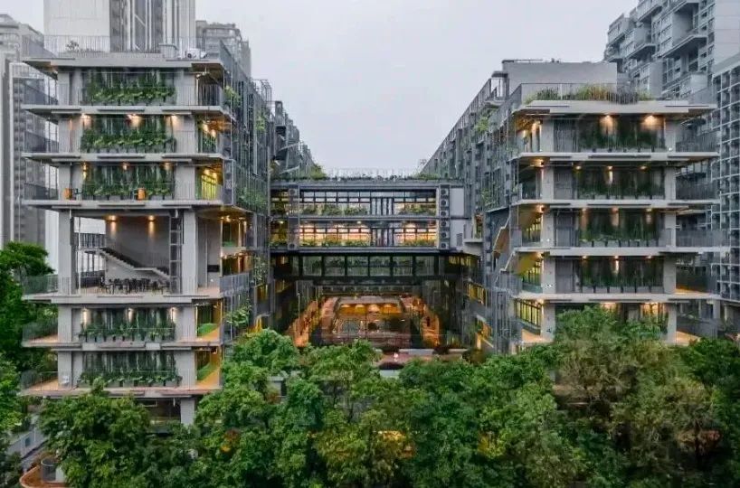 深圳国际交流书院校园建筑与庭院