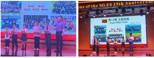必益教育 | 【深枫401班】一路芬芳 绽放精彩