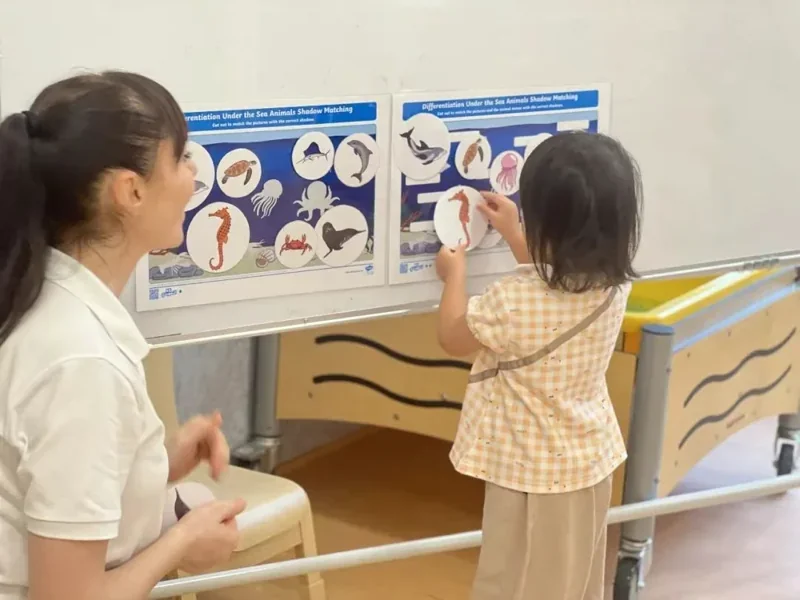 理德幼儿学园 | 丛林间,浪花里(下)