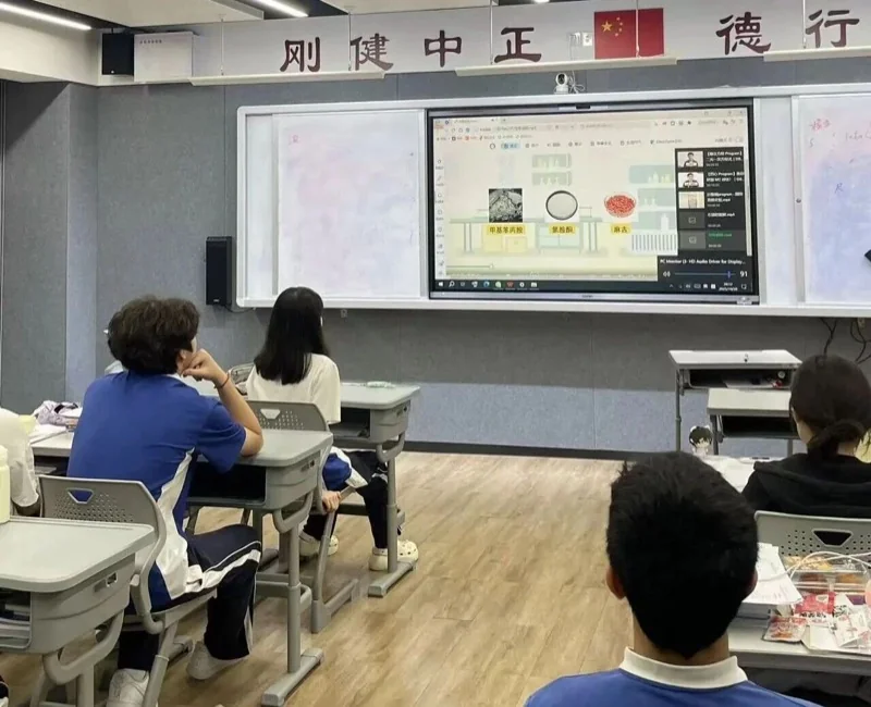 深圳市正德高级中学DSE学部 | 筑牢禁毒防线,守护青春净土——正德DSE学部禁毒教育回顾