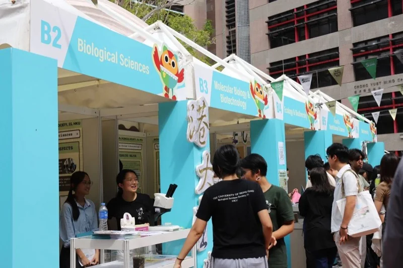 深圳市新福景双语学校 | 下一站,香港大学!