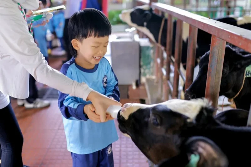 普林云海国际幼儿园 | 这个秋游我想打满分