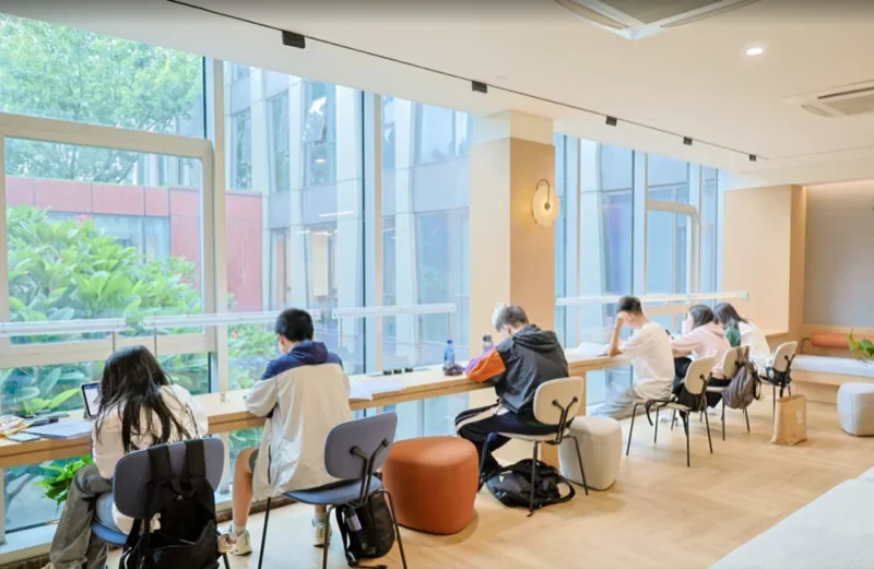深圳国际课程中心SZICC | 从SZICC到UCL:当“松弛感”成为高效密码,她的「自在成长」图鉴(上)