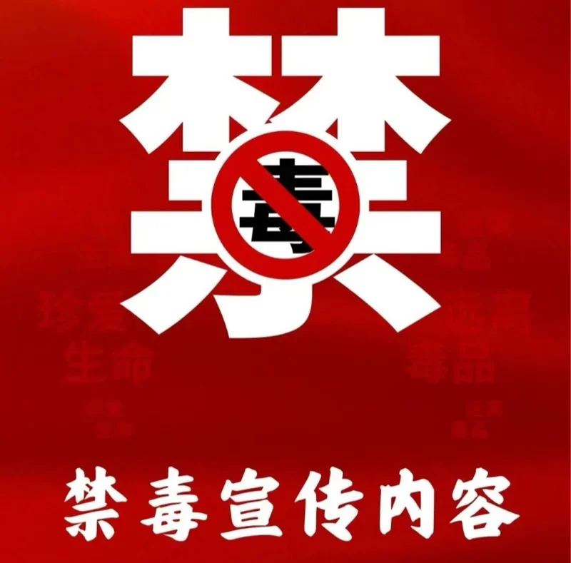 深圳市正德高级中学DSE学部 | 筑牢禁毒防线,守护青春净土——正德DSE学部禁毒教育回顾