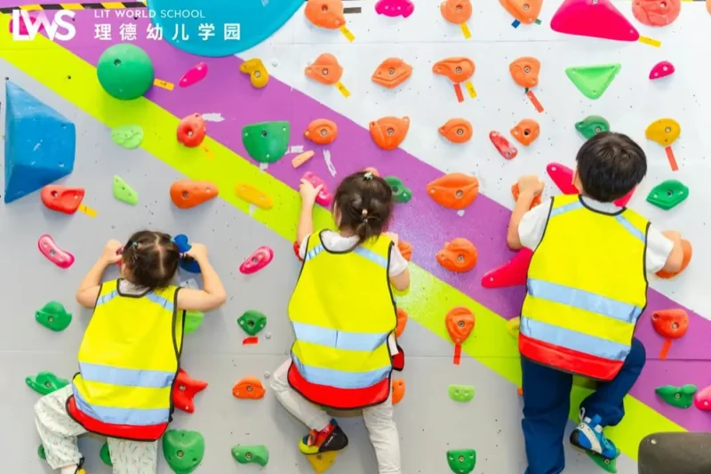 理德幼儿学园 | 洞影间 攀云巅(上)
