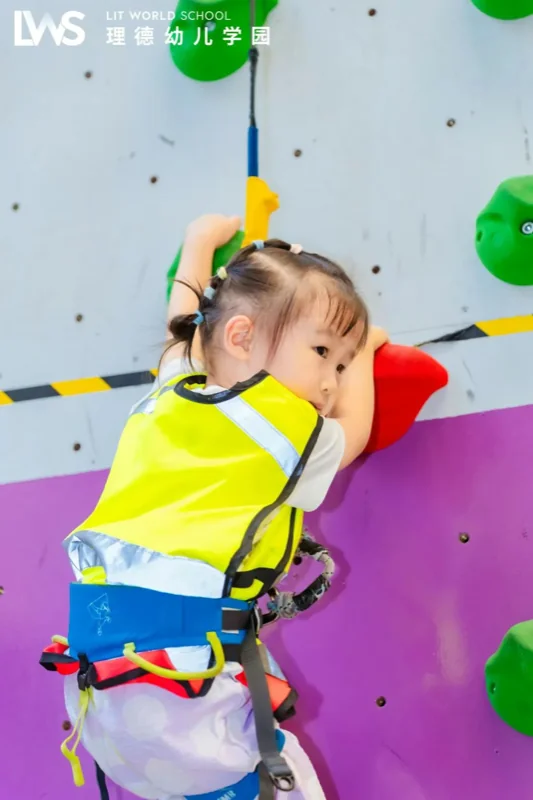 理德幼儿学园 | 洞影间 攀云巅(下)