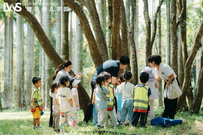 理德幼儿学园 | 幼儿学园 | 丛林间,浪花里(上)