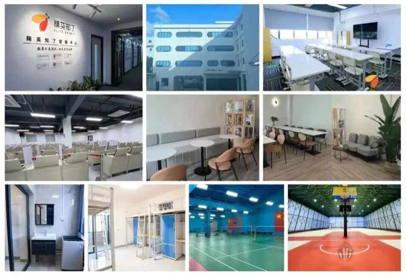 精英知了学院 | 浩气展虹霓!精英知了2024届OSSD学员录取成果汇总
