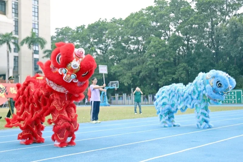 深圳市新福景双语学校 | 二十六载热血传承 体育节超燃开幕!