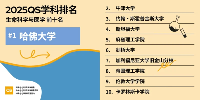 深圳湾国际艺术教育SWAS  |  重磅！2025QS世界大学学科排名发布！附各学科排名TOP10！（上）