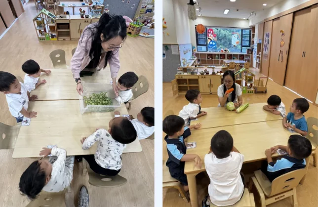 理德幼儿学园 | October Highlights 理德幼儿学园十月成长剪影