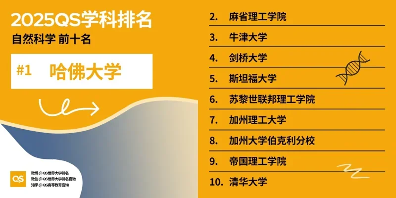 深圳湾国际艺术教育SWAS  |  重磅！2025QS世界大学学科排名发布！附各学科排名TOP10！（上）