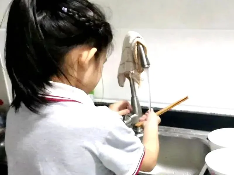 深圳市华明星学校 | 把世界变成教室 | 华明星学校2025暑假指南