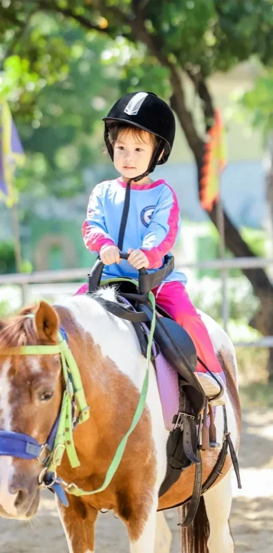 普林云海国际幼儿园 | 这个秋游我想打满分