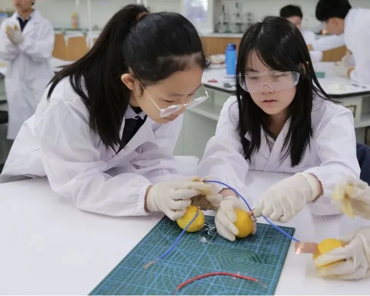 深圳IPC国际校区中学部 | 用实践开启科学探索之旅 | SIPC科学课