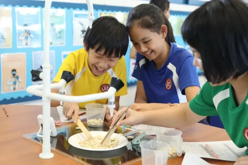 深圳城市绿洲学校|喜报|绿洲家长说|少年的你，自信便有光芒