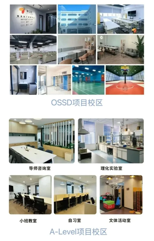 精英知了国际教育 | 香港本地生定义不变,人才子女港校申请优势依旧,学费或上调