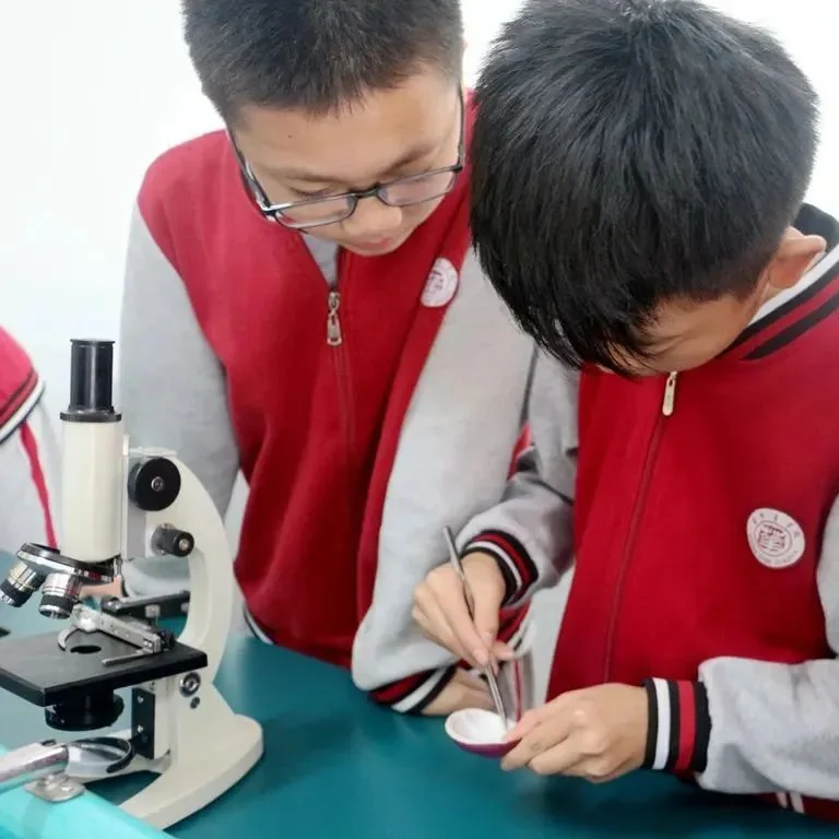 深圳市华明星学校 | 仅少量学位|华明星学校转学插班学位申请指南