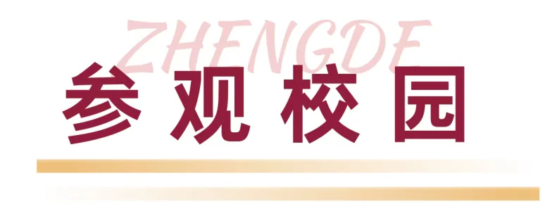 深圳市正德高级中学DSE学部 | 香港大学专家代表团莅临我校共商教育智能发展新径