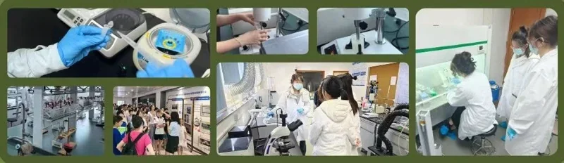 精英知了国际教育 | 精英知了素质创新课程项目中心:研学夏令营招生开启!五大热门方向任你选择
