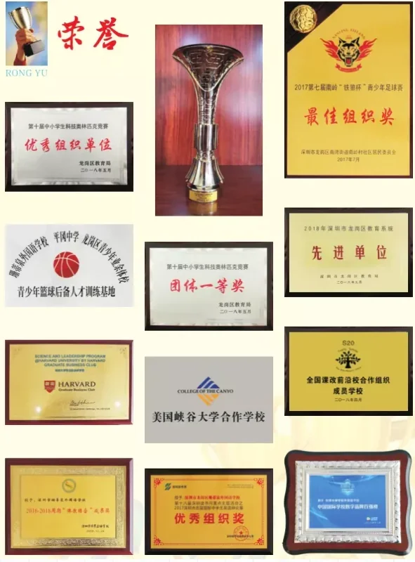 2020年秋季招生报名开始啦丨深圳市珊蒂泉外国学校欢迎你！