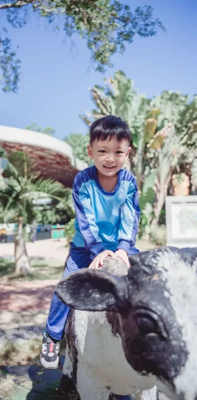 普林云海国际幼儿园 | 这个秋游我想打满分
