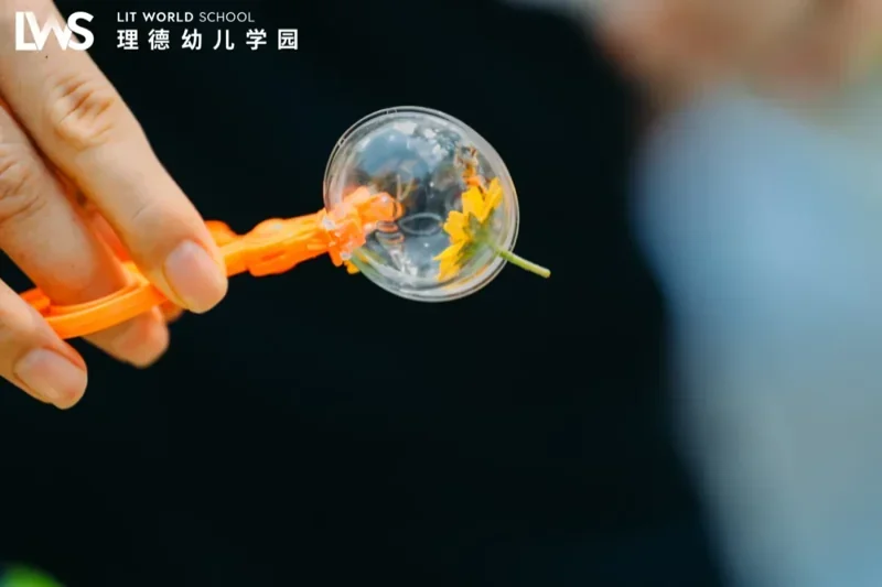 理德幼儿学园 | 幼儿学园 | 丛林间,浪花里(上)