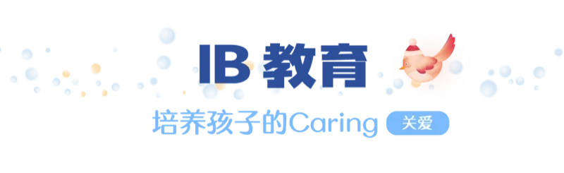 普林云海国际幼儿园  |  Merry Christmas | 圣诞节，是“给予”最美的时刻