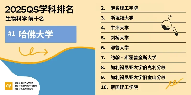 深圳湾国际艺术教育SWAS  |  重磅！2025QS世界大学学科排名发布！附各学科排名TOP10！（上）