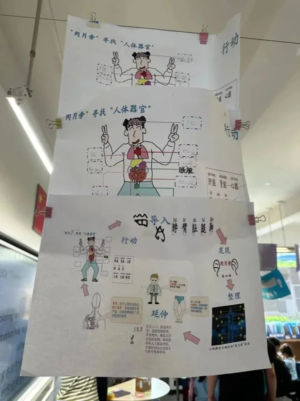 丽林维育学校(VPA) | 弥补体制内外教育缺陷,湾区家庭靠这所IB校冲藤!
