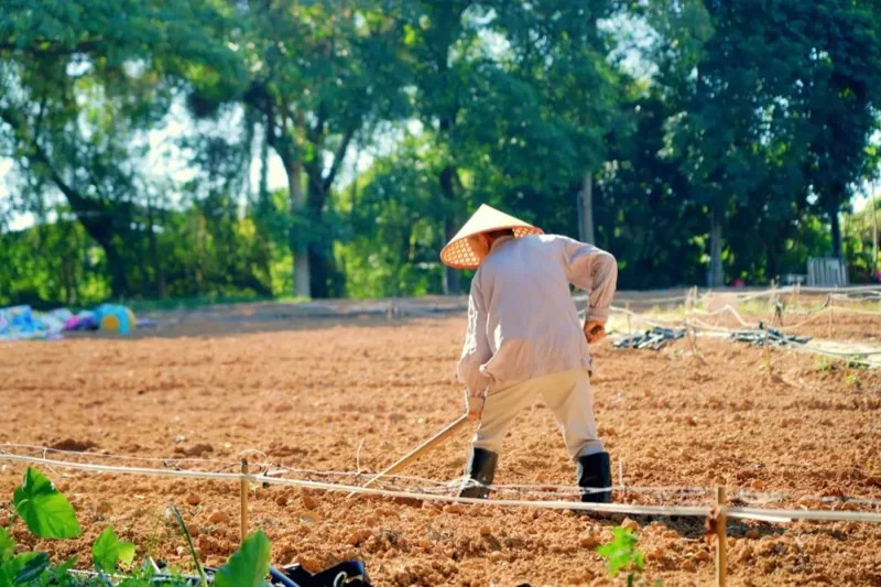 普林云海国际幼儿园 | 这个秋游我想打满分