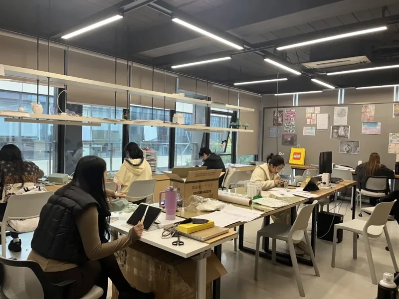 深圳湾国际艺术教育SWAS  |  SWAS.国际小燕Design Lab（八十六） | 深圳湾国际艺术教育2025年春季学期