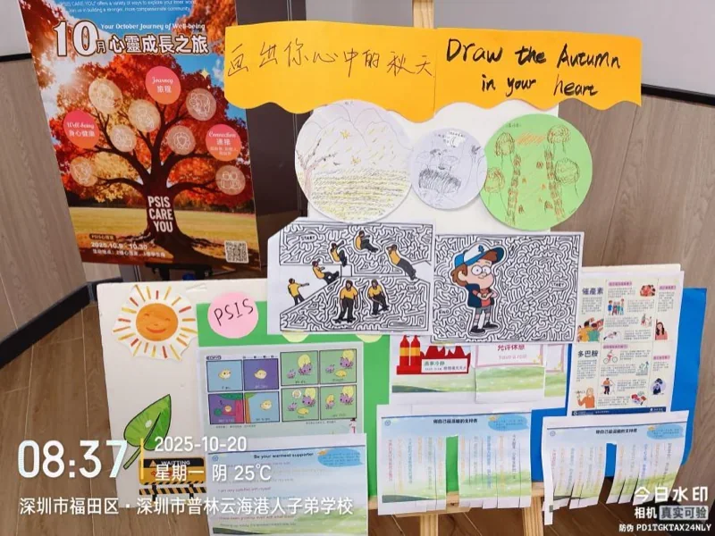 深圳市普林云海港人子弟学校 | 遵循 IB 标准｜PSIS 全人教育，筑牢学生福祉根基