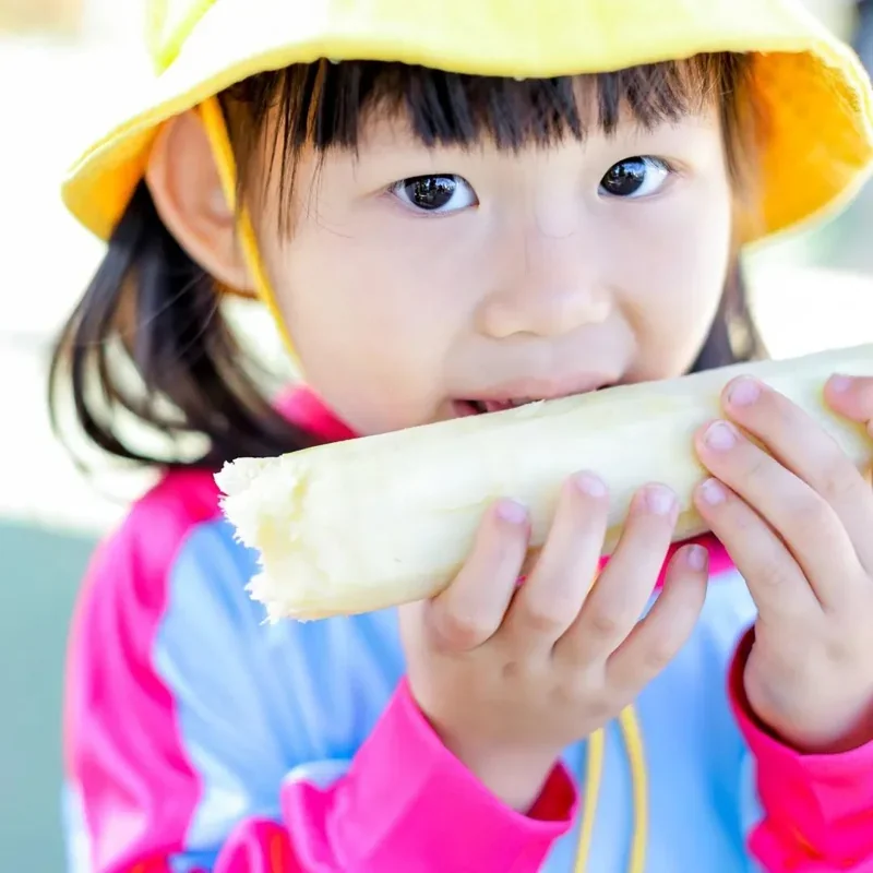普林云海国际幼儿园 | 这个秋游我想打满分