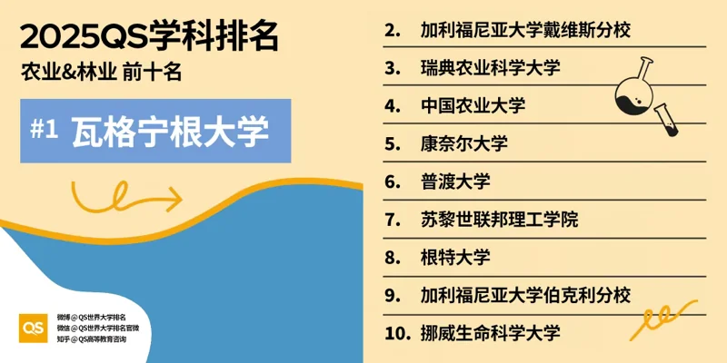 深圳湾国际艺术教育SWAS  |  重磅！2025QS世界大学学科排名发布！附各学科排名TOP10！（上）