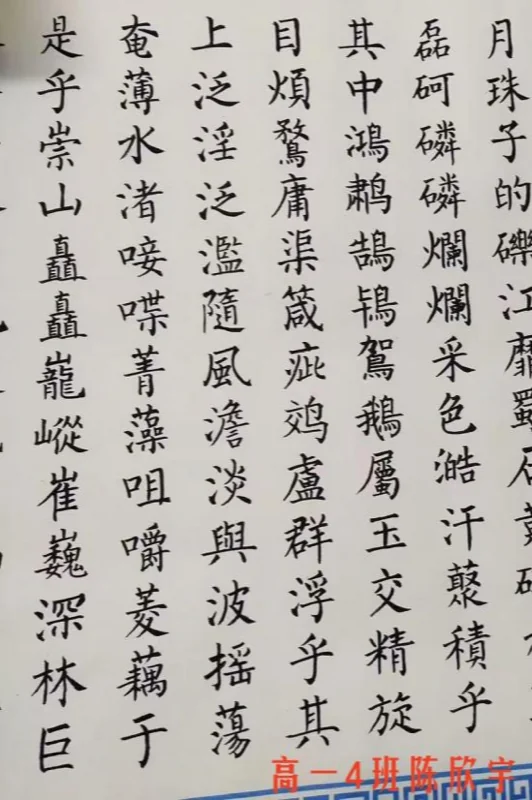大道至简DSE(博恒橘郡校区)|【博高风采】不一样的假期,不一样的成长——博恒高中寒假德育作业展