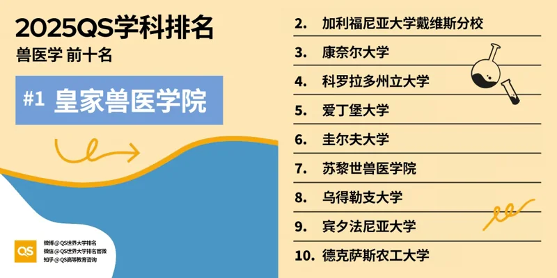 深圳湾国际艺术教育SWAS  |  重磅！2025QS世界大学学科排名发布！附各学科排名TOP10！（上）
