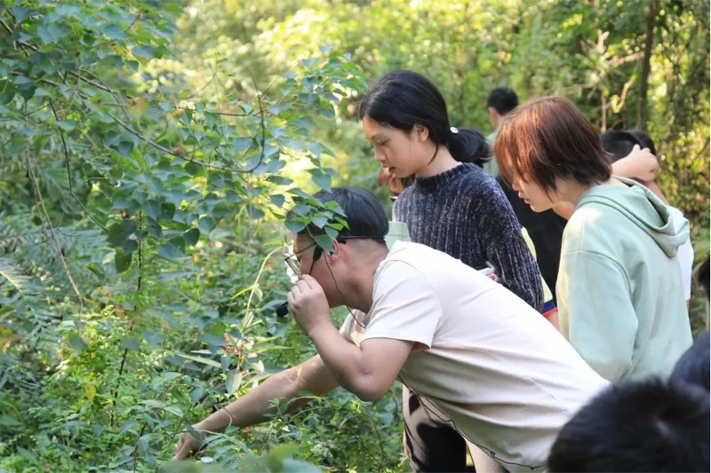 深圳IPC国际校区中学部 | 著名侨乡—仓东文化拾遗之旅 | SIPC School Trip