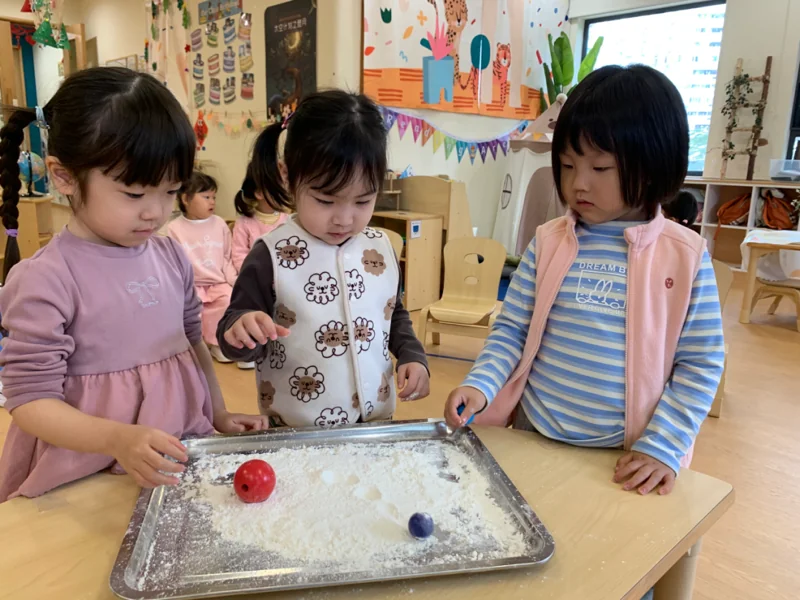 理德幼儿学园 | 横跨1.471亿公里的“太空探索计划”(下)