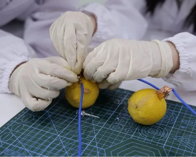 深圳IPC国际校区中学部 | 用实践开启科学探索之旅 | SIPC科学课