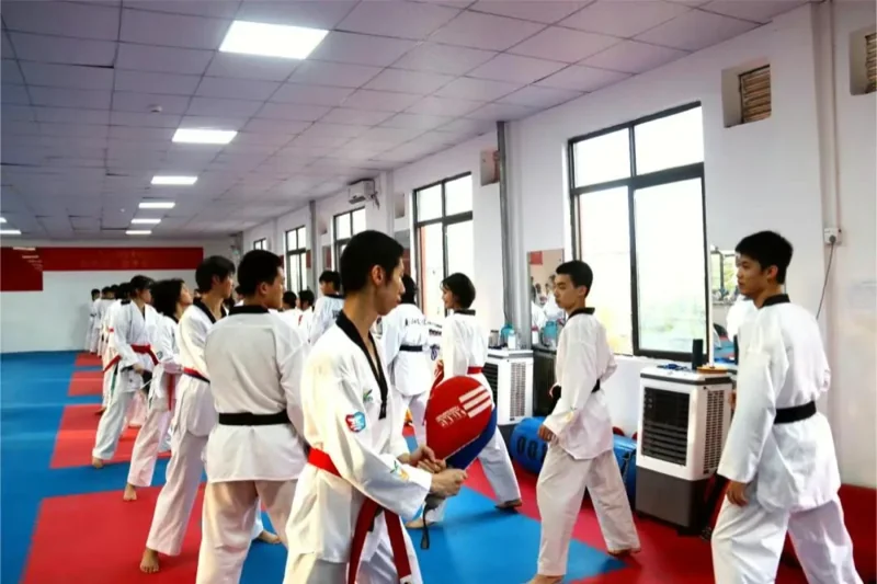 格睿特高级中学香港DSE班 | 重磅 | 深圳市格睿特高级中学2024招生简章