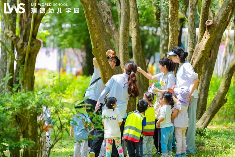理德幼儿学园 | 幼儿学园 | 丛林间,浪花里(上)