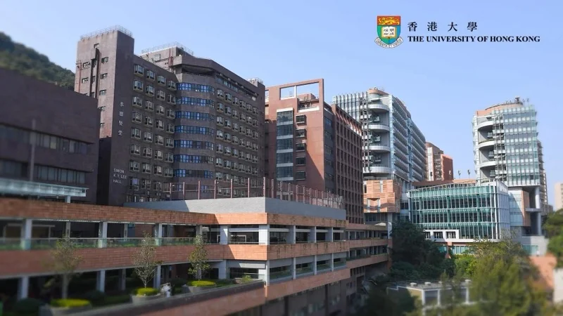 深圳市新福景双语学校 | 下一站,香港大学!
