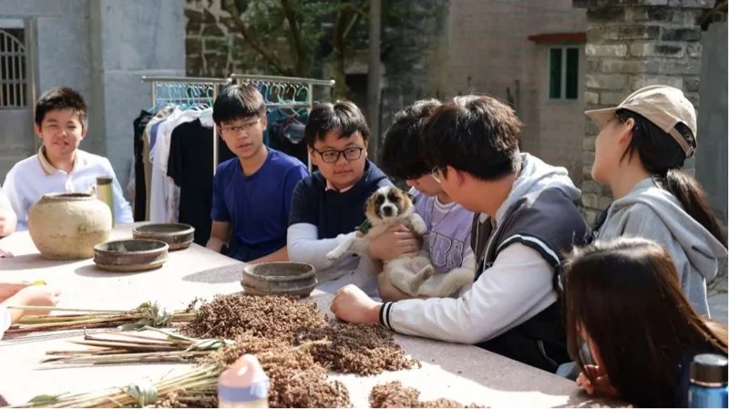 深圳IPC国际校区中学部 | 著名侨乡—仓东文化拾遗之旅 | SIPC School Trip