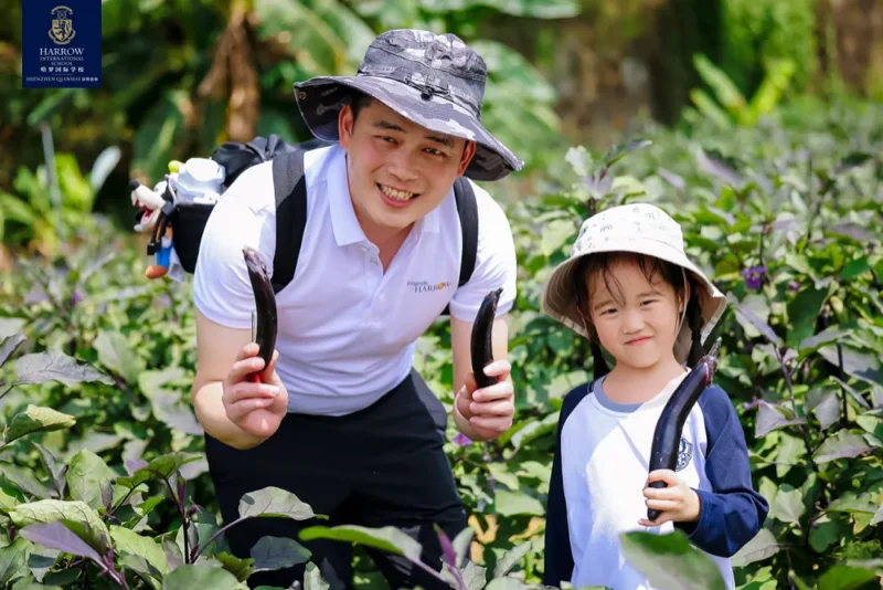 前海哈罗外籍人员子女学校丨幼教权威解读：保护环境，孩子能做的比你想象中更多！